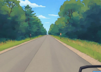 Entrance Road To East Arbutus Campground Being Reconstructed