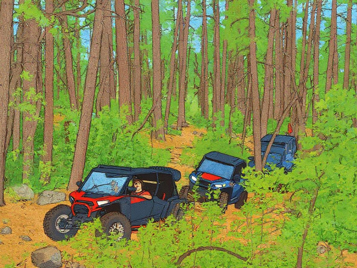 Munds Park Mountain Fun Run