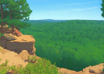 Wildcat County Park – Clark County, Wisconsin