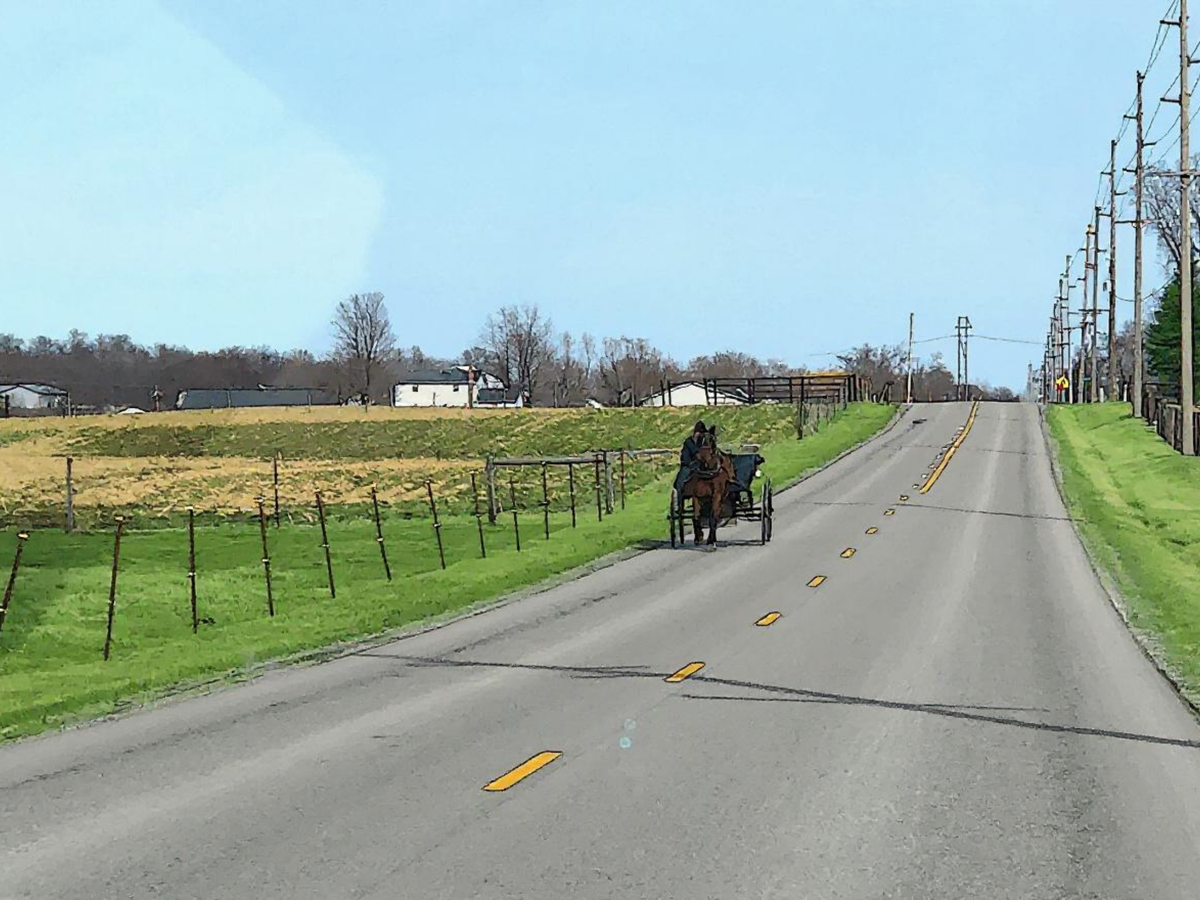 Country Amish / Mennonite Tour