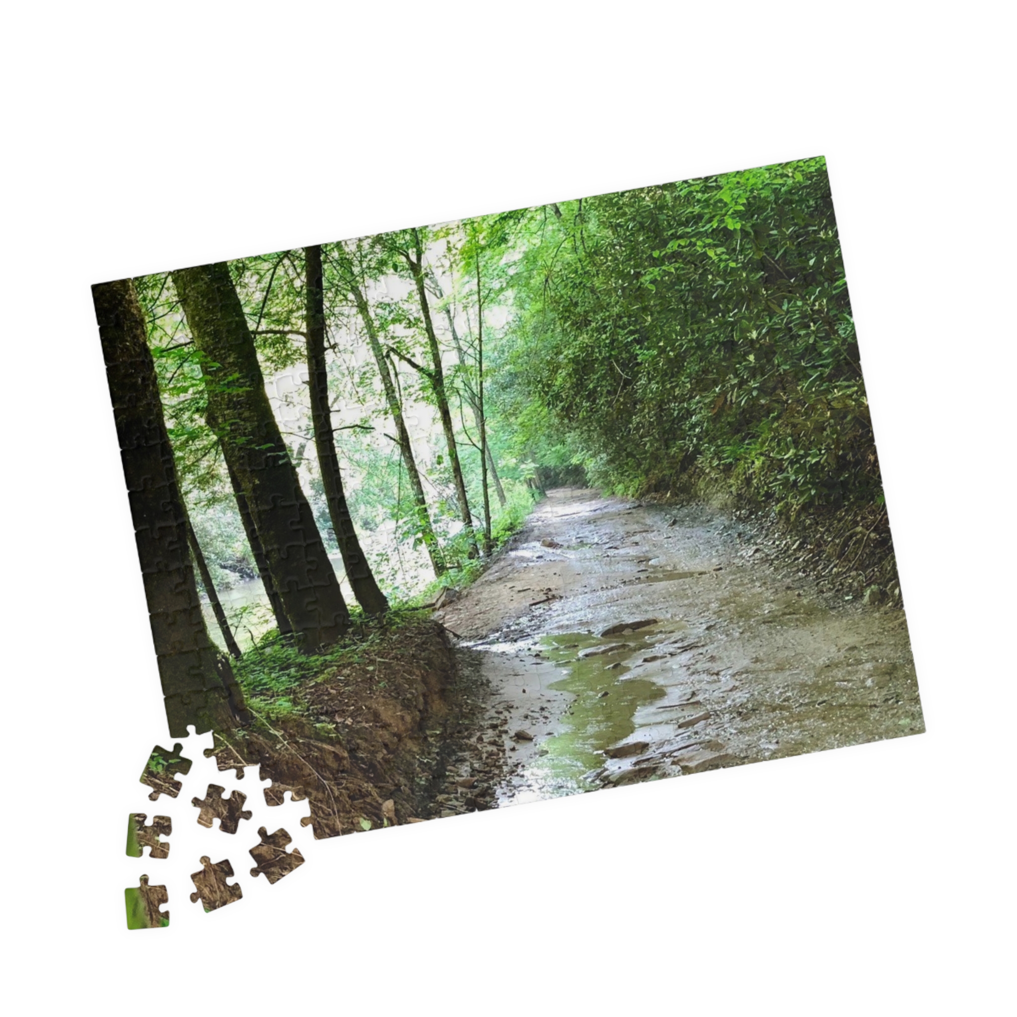 West Virginia Trail Puzzle (110, 252, 520, 1014-piece) - Image 11