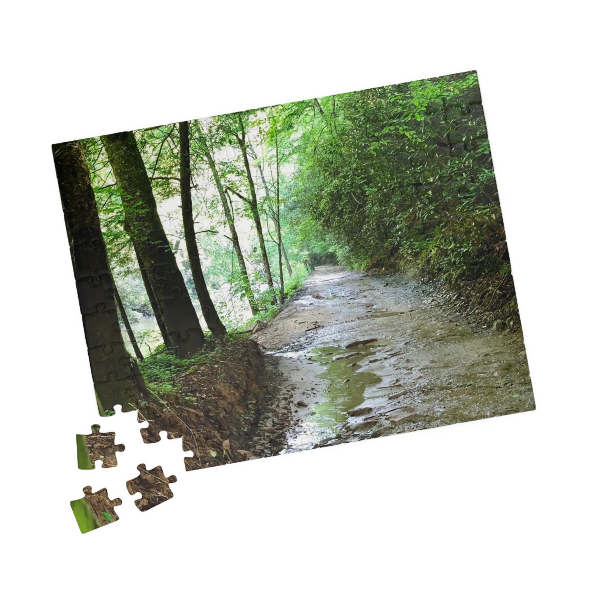 West Virginia Trail Puzzle (110, 252, 520, 1014-piece) - Image 7