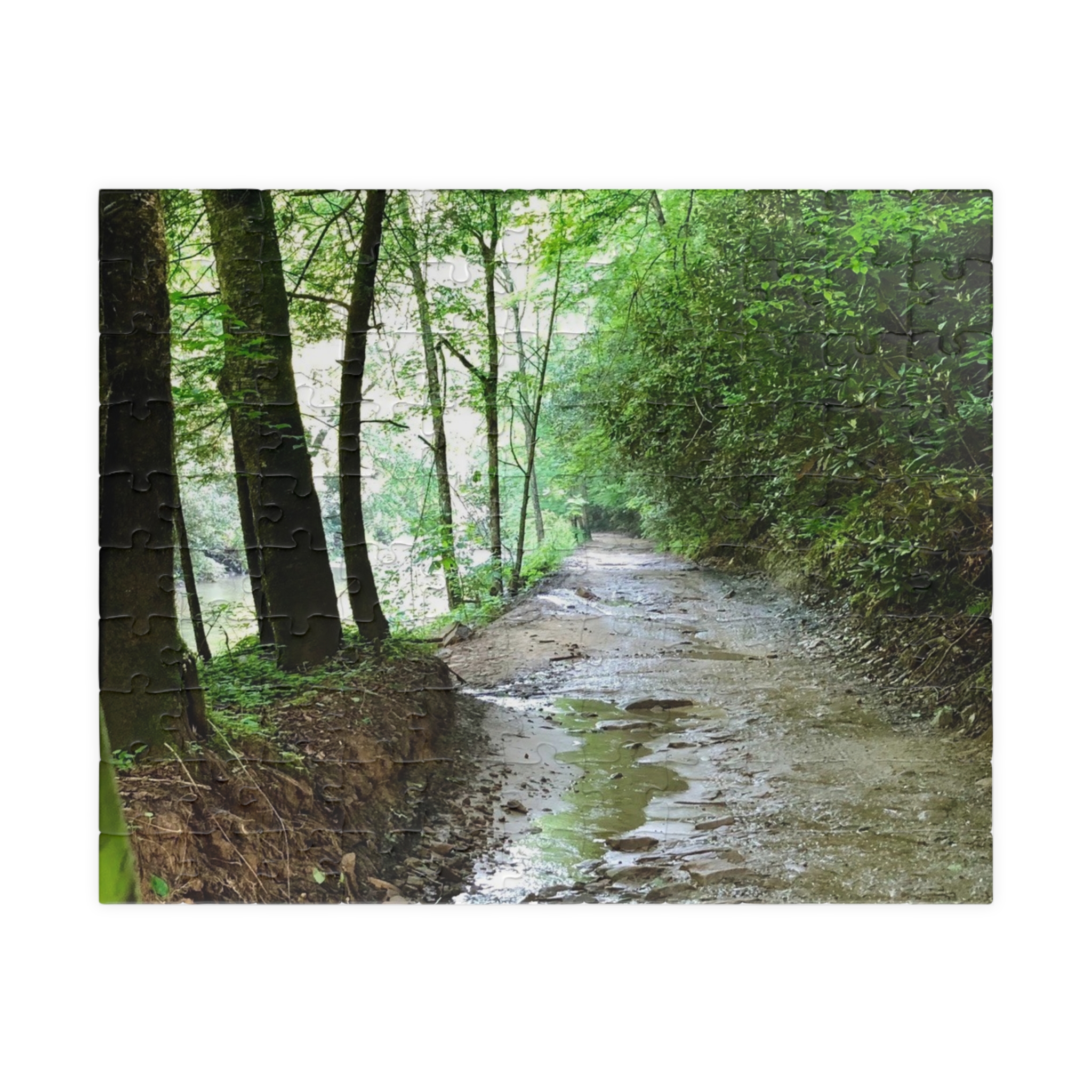 West Virginia Trail Puzzle (110, 252, 520, 1014-piece) - Image 5