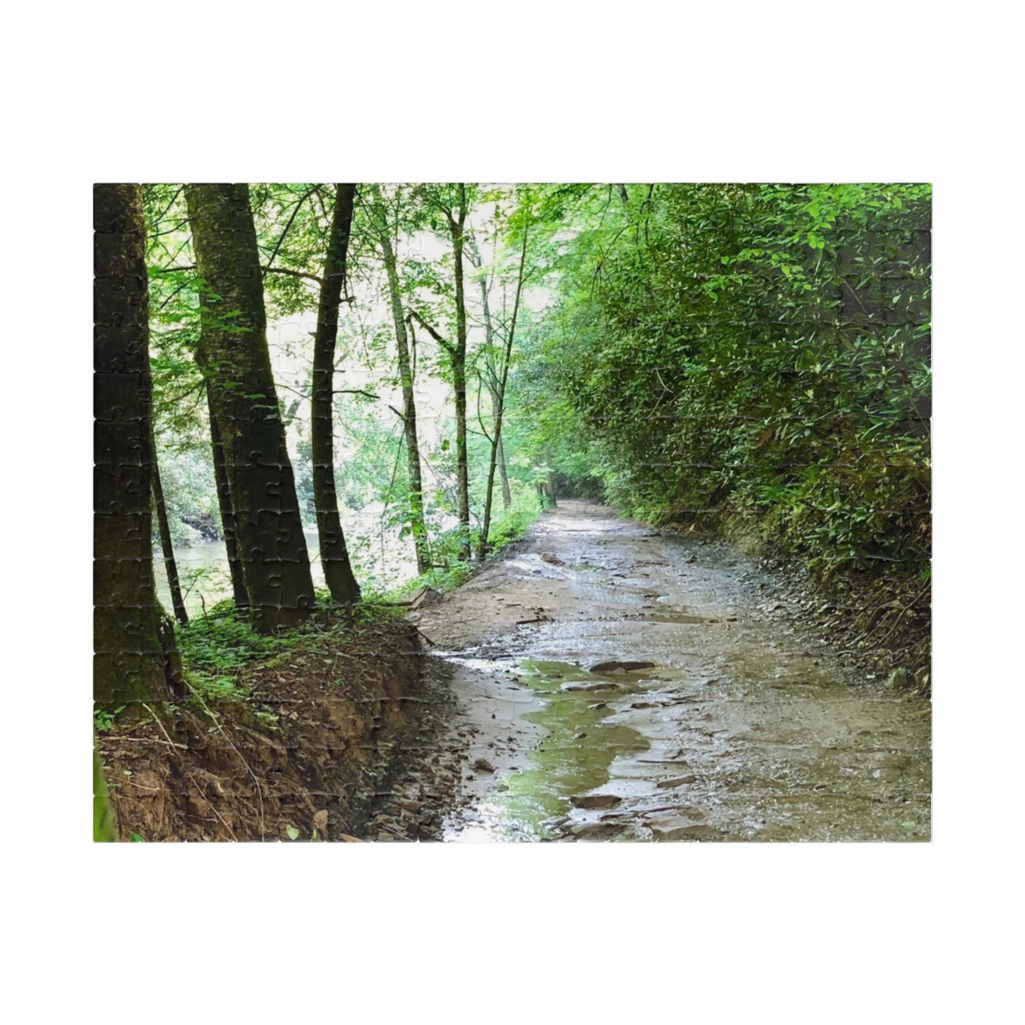West Virginia Trail Puzzle (110, 252, 520, 1014-piece) - Image 9