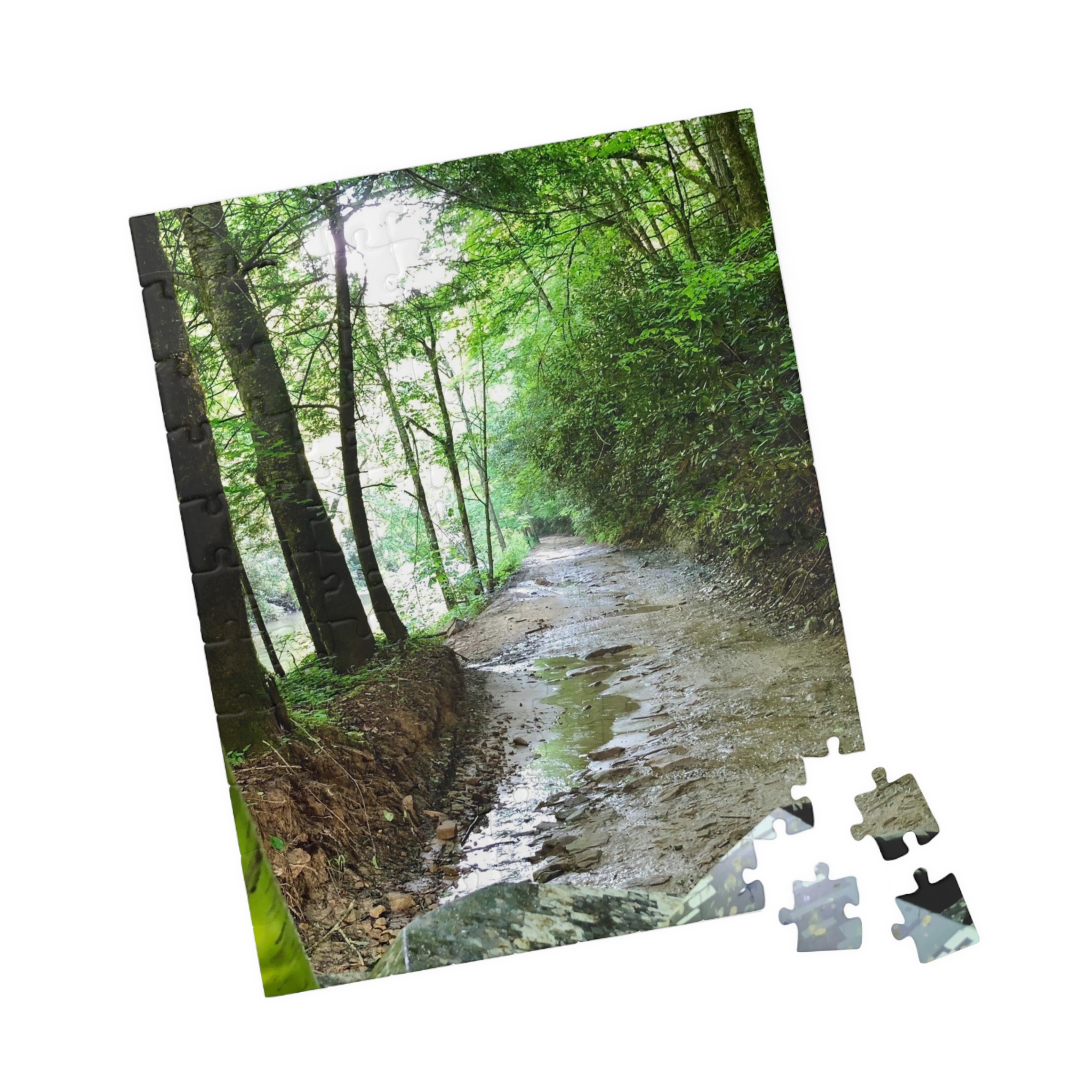 West Virginia Trail Puzzle (110, 252, 520, 1014-piece) - Image 23