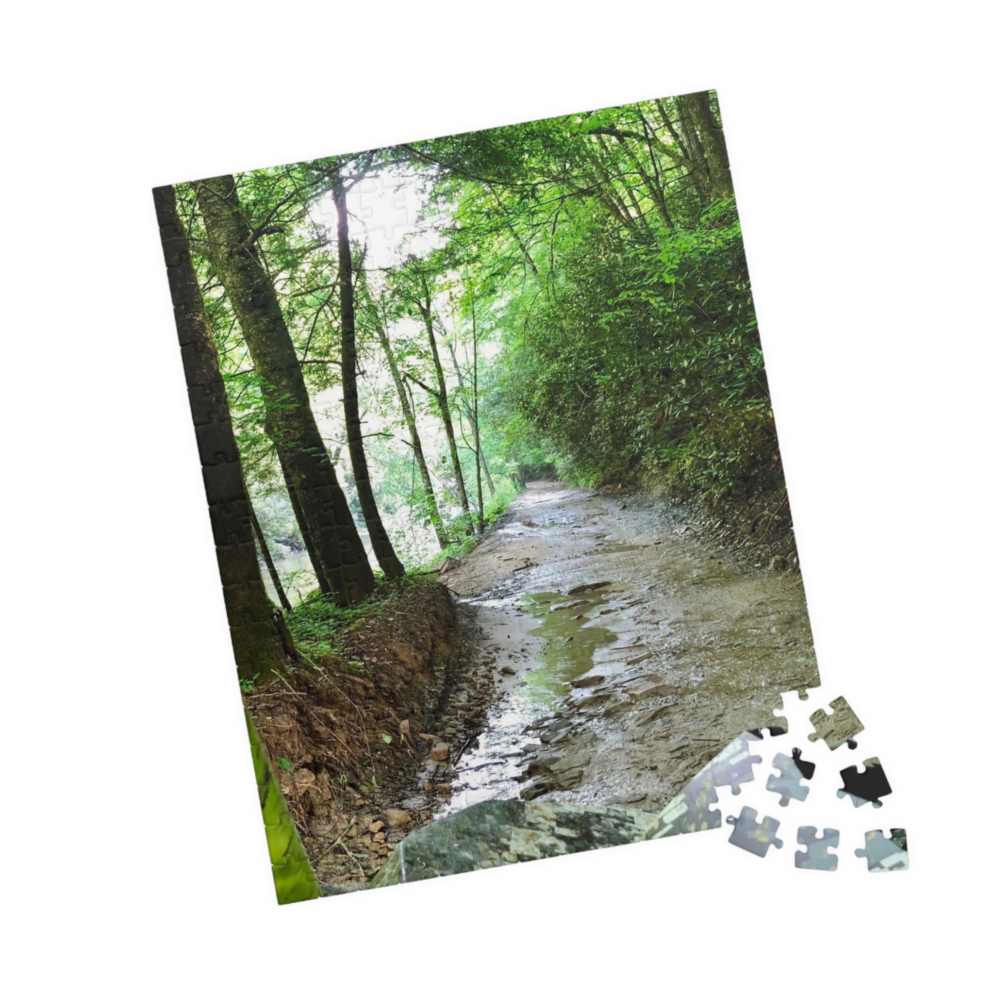 West Virginia Trail Puzzle (110, 252, 520, 1014-piece) - Image 27