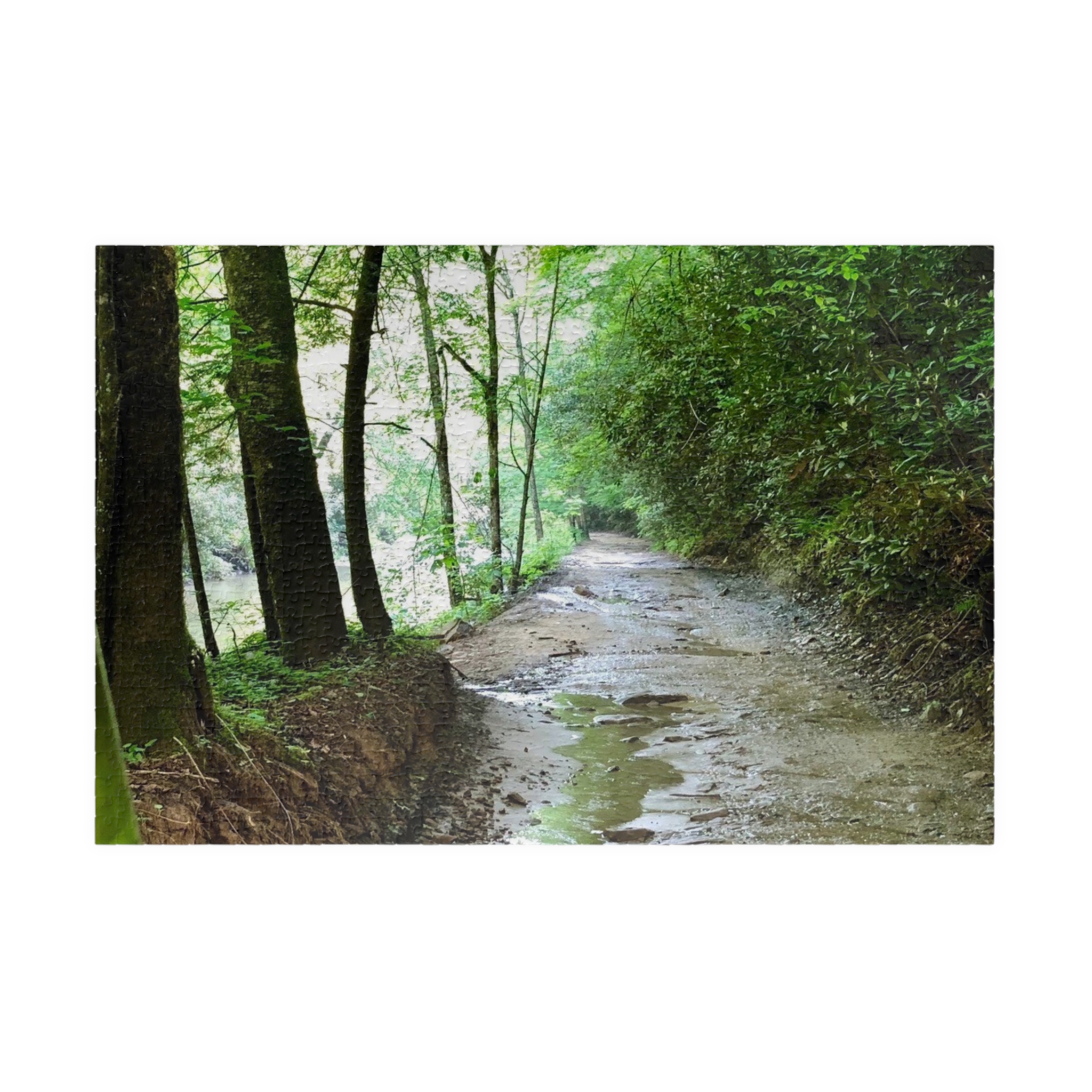 West Virginia Trail Puzzle (110, 252, 520, 1014-piece) - Image 17