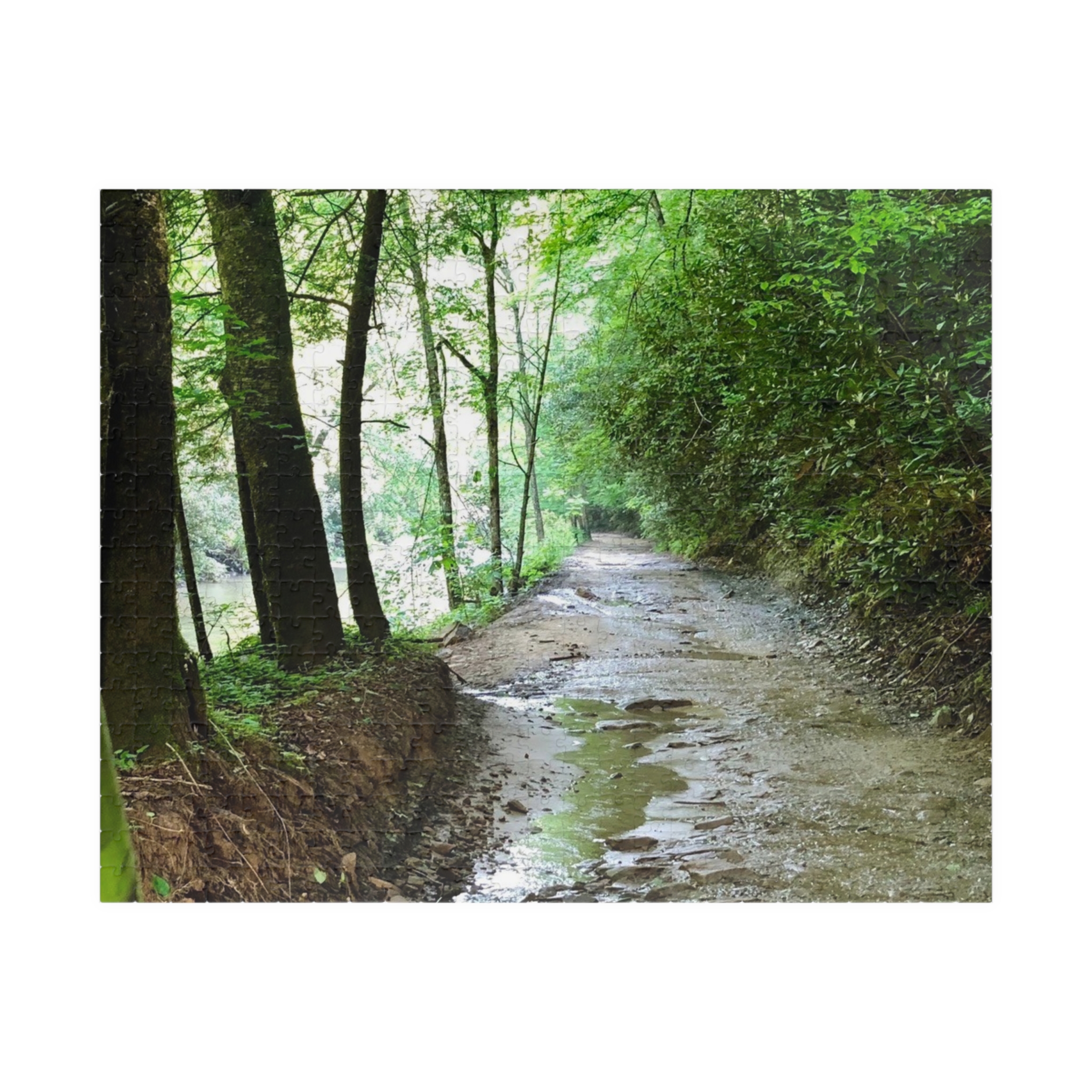 West Virginia Trail Puzzle (110, 252, 520, 1014-piece) - Image 13