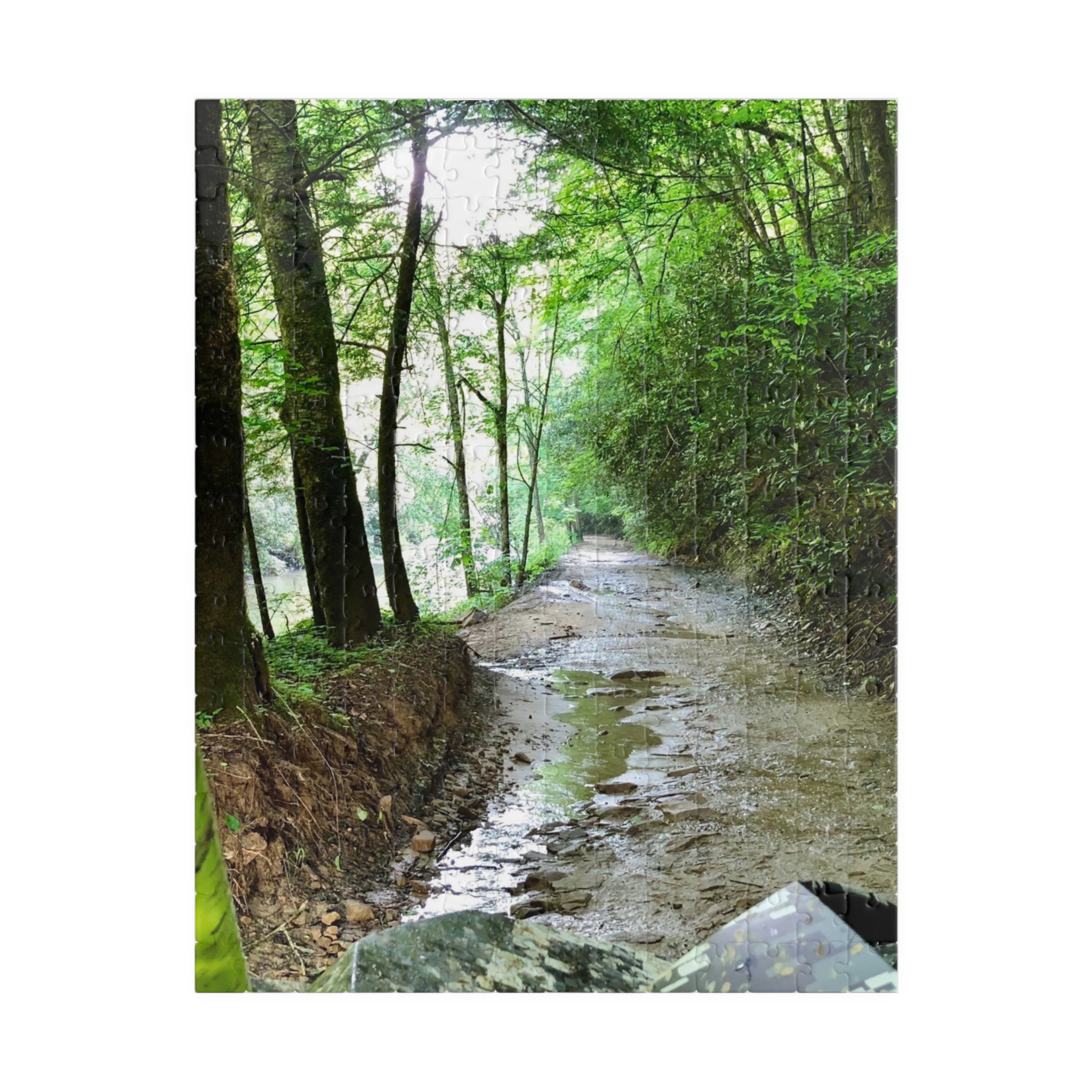 West Virginia Trail Puzzle (110, 252, 520, 1014-piece) - Image 25